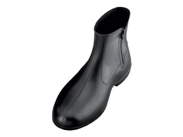 We Got It For Free: Tingley Executive Overshoes