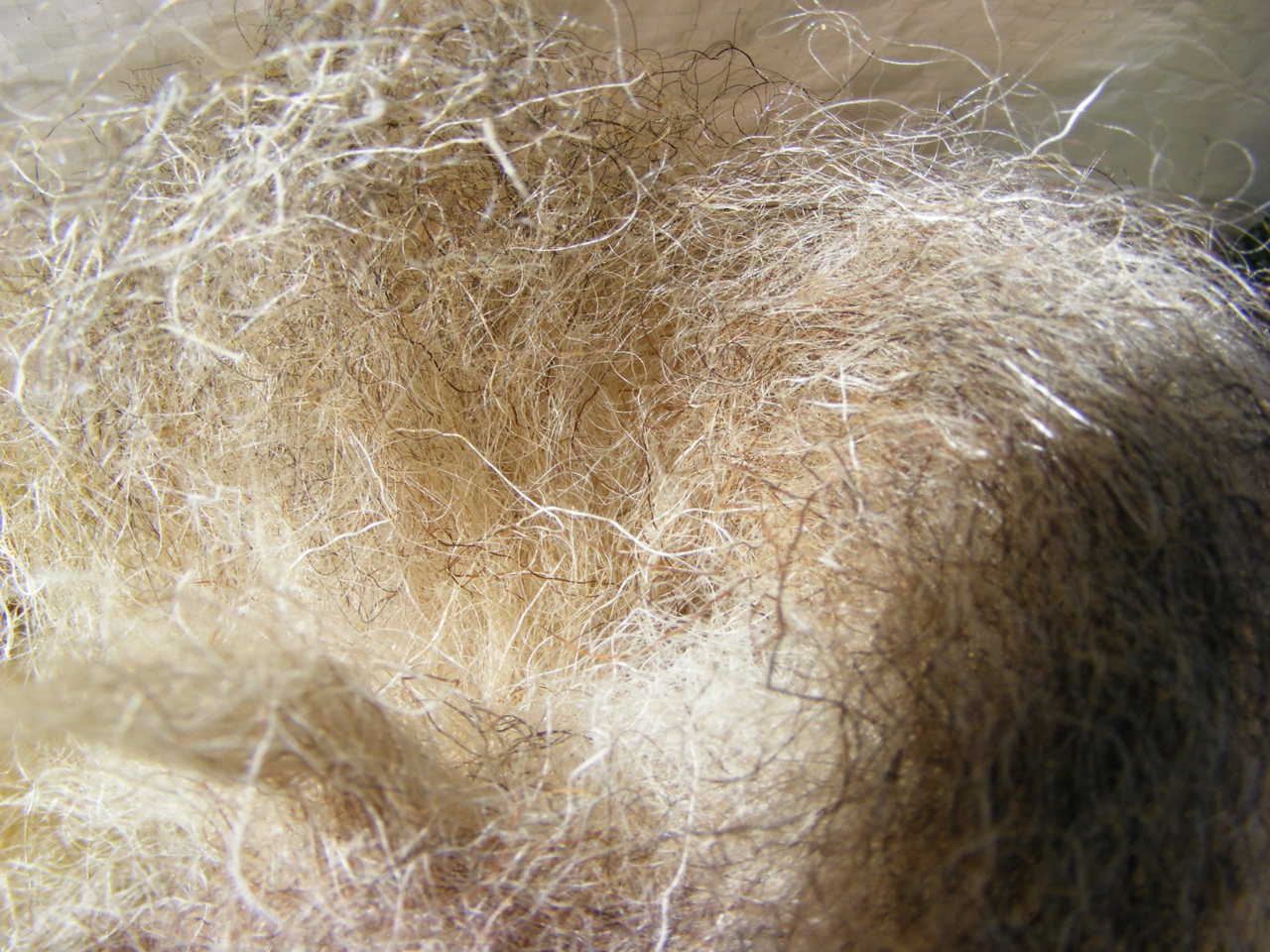 How to Soften Wool