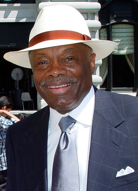 The Summer Panama Hat